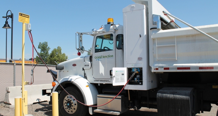 В США муниципальный транспорт переводят на биотопливо